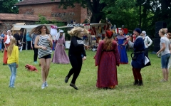 Festival Life @ Viduramžių šventė 2016