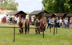 Festival Life @ Viduramžių šventė 2016