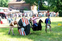Festival Life @ Viduramžių šventė 2016