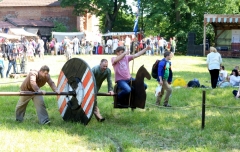 Festival Life @ Viduramžių šventė 2016