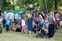 Festival Life @ Viduramžių šventė 2016