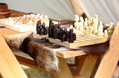 Festival Life @ Viduramžių šventė 2016