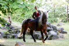 Festival Life @ Viduramžių šventė 2016