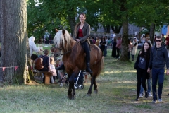 Festival Life @ Viduramžių šventė 2016