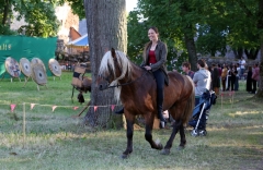 Festival Life @ Viduramžių šventė 2016