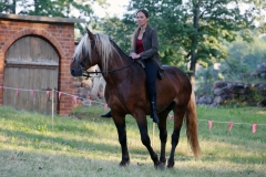 Festival Life @ Viduramžių šventė 2016