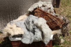 Festival Life @ Viduramžių šventė 2016