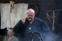 Festival Life @ Viduramžių šventė 2016