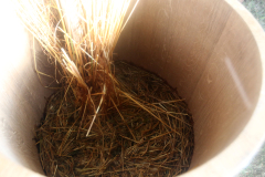 Alaus darymas @ DUNDULIO koštuvės 2022