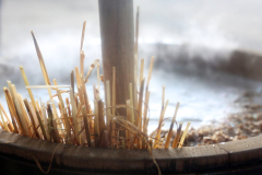 Alaus darymas @ DUNDULIO koštuvės 2022