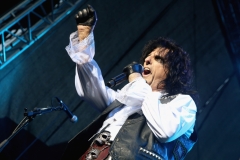 ALICE COOPER @ Trakai (2017)