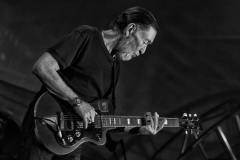 Chris REA @ Vilnius (2017)