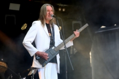 DZELTENIE PASTNIEKI @ ECOSYSTEMIC 2025