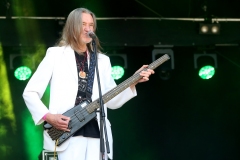 DZELTENIE PASTNIEKI @ ECOSYSTEMIC 2025