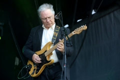 DZELTENIE PASTNIEKI @ ECOSYSTEMIC 2025