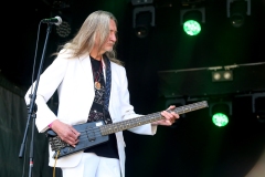 DZELTENIE PASTNIEKI @ ECOSYSTEMIC 2025