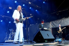 DZELTENIE PASTNIEKI @ ECOSYSTEMIC 2025