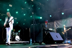 DZELTENIE PASTNIEKI @ ECOSYSTEMIC 2025