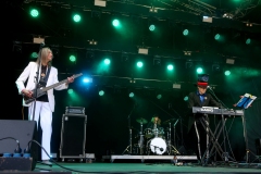 DZELTENIE PASTNIEKI @ ECOSYSTEMIC 2025