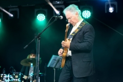 DZELTENIE PASTNIEKI @ ECOSYSTEMIC 2025