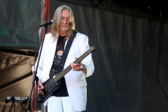 DZELTENIE PASTNIEKI @ ECOSYSTEMIC 2025