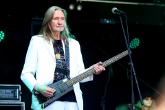 DZELTENIE PASTNIEKI @ ECOSYSTEMIC 2025