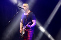 DZELZS VILKS @ ECOSYSTEMIC 2025