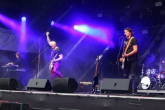 DZELZS VILKS @ ECOSYSTEMIC 2025