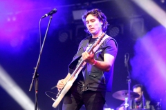 DZELZS VILKS @ ECOSYSTEMIC 2025