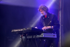 DZELZS VILKS @ ECOSYSTEMIC 2025