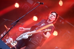 DZELZS VILKS @ ECOSYSTEMIC 2025