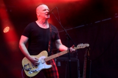 DZELZS VILKS @ ECOSYSTEMIC 2025