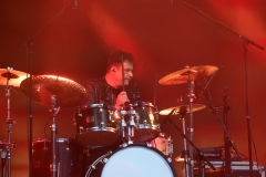 DZELZS VILKS @ ECOSYSTEMIC 2025