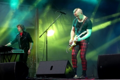 DZELZS VILKS @ ECOSYSTEMIC 2025