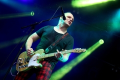 DZELZS VILKS @ ECOSYSTEMIC 2025