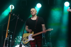 DZELZS VILKS @ ECOSYSTEMIC 2025