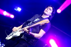 DZELZS VILKS @ ECOSYSTEMIC 2025