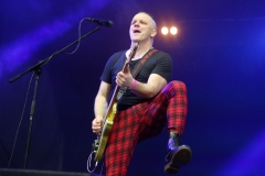 DZELZS VILKS @ ECOSYSTEMIC 2025