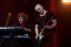 DZELZS VILKS @ ECOSYSTEMIC 2025