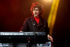 DZELZS VILKS @ ECOSYSTEMIC 2025