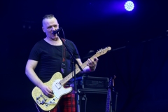 DZELZS VILKS @ ECOSYSTEMIC 2025