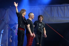 DZELZS VILKS @ ECOSYSTEMIC 2025