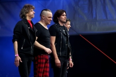 DZELZS VILKS @ ECOSYSTEMIC 2025