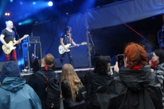 DZELZS VILKS @ ECOSYSTEMIC 2025