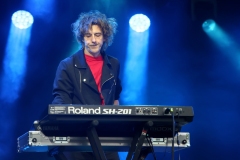 DZELZS VILKS @ ECOSYSTEMIC 2025