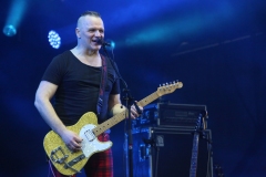 DZELZS VILKS @ ECOSYSTEMIC 2025