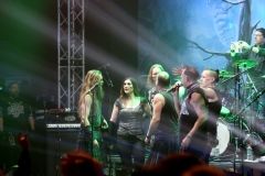 ENSIFERUM @ FULL METAL MOUNTAIN 2017