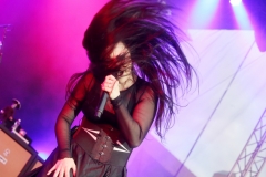 EVANESCENCE @ Trakai (2017)