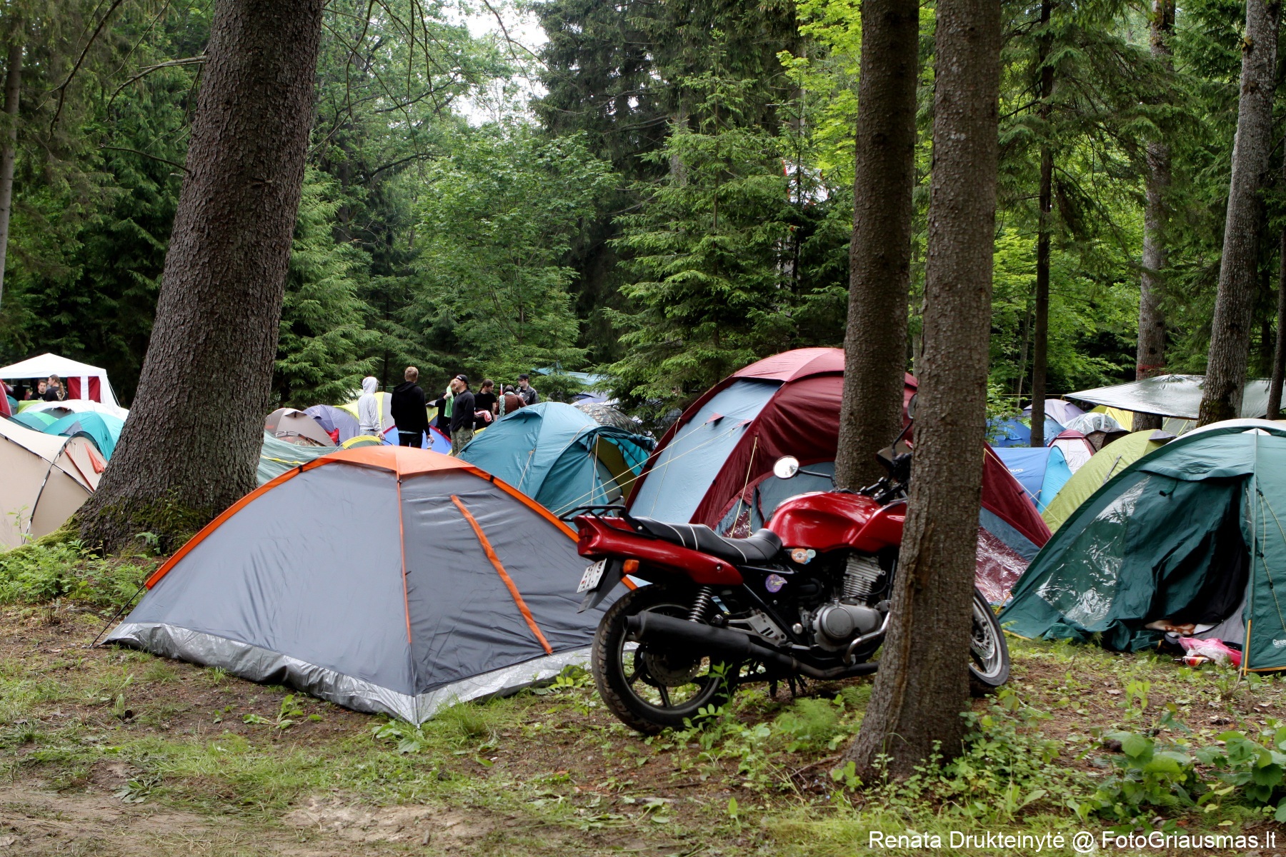 Festival Life @ KILKIM ŽAIBU 2014