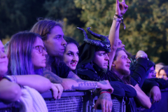 Festival Life  @ Kilkim Žaibu 2021